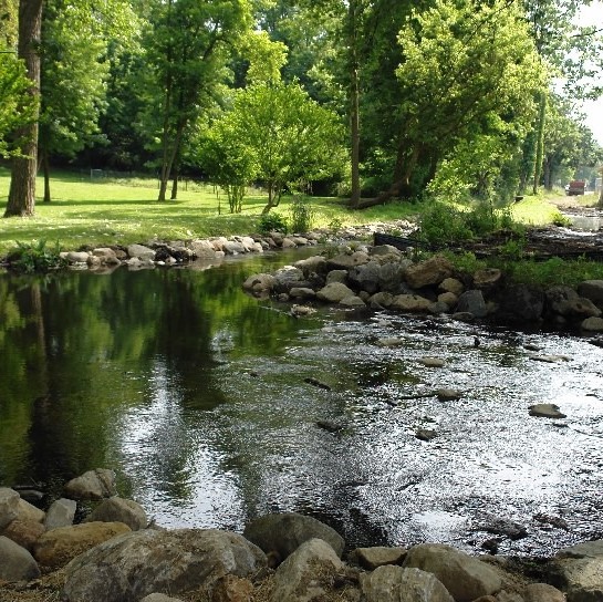 Water flowing among rocks and trees at the millrace entrance