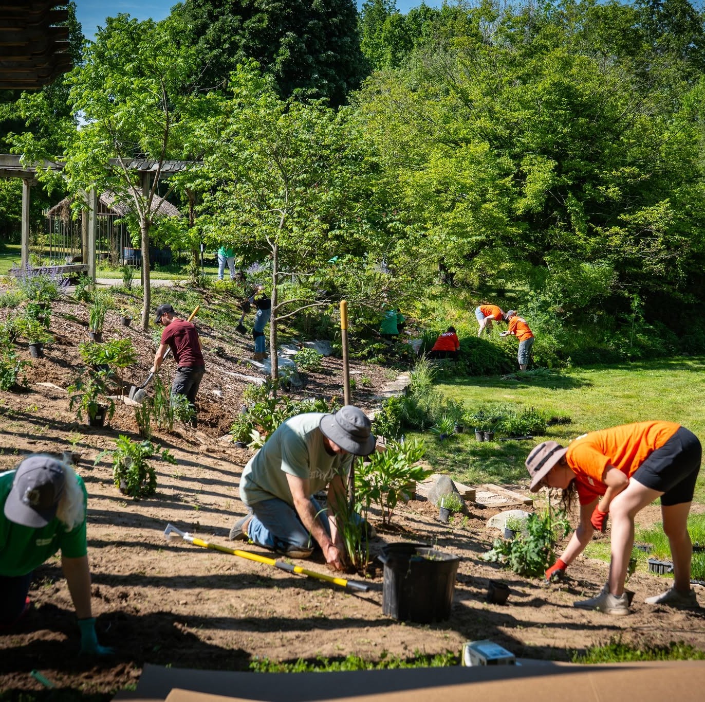 Gardeners planting at Fernwood